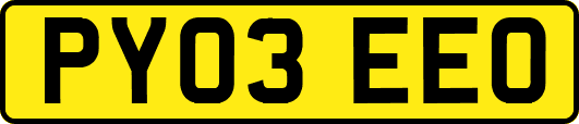 PY03EEO