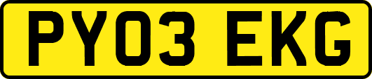 PY03EKG