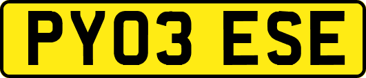 PY03ESE