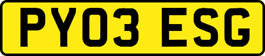 PY03ESG