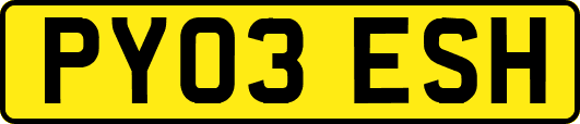 PY03ESH
