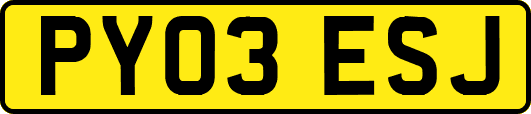PY03ESJ