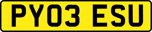 PY03ESU