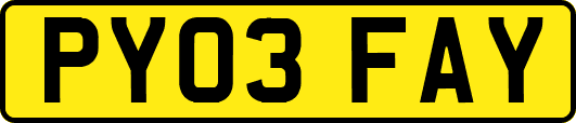 PY03FAY