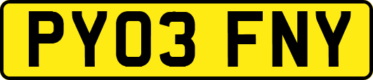 PY03FNY