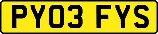 PY03FYS