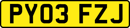PY03FZJ