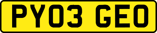 PY03GEO