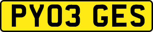 PY03GES