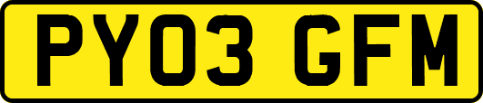 PY03GFM