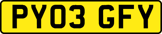 PY03GFY