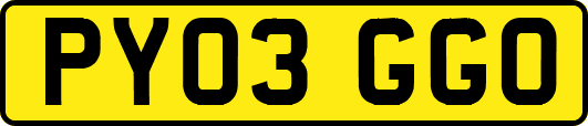 PY03GGO