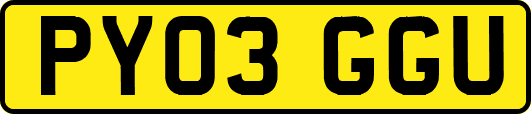 PY03GGU