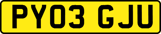 PY03GJU
