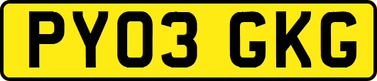 PY03GKG