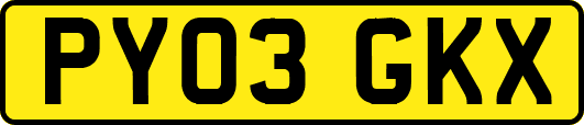 PY03GKX