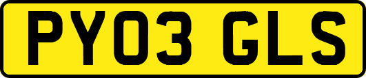 PY03GLS
