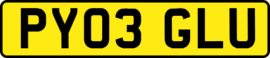 PY03GLU