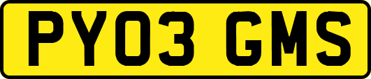 PY03GMS