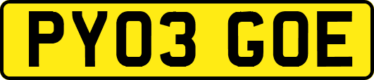 PY03GOE