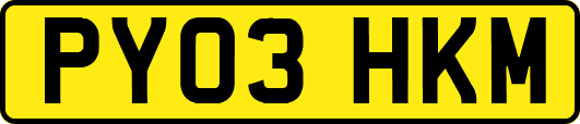 PY03HKM