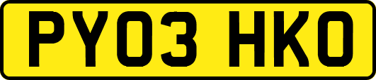 PY03HKO