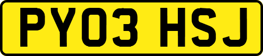 PY03HSJ
