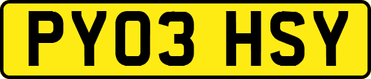 PY03HSY