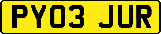 PY03JUR