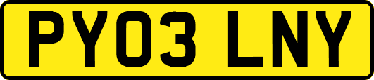 PY03LNY