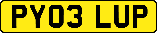 PY03LUP