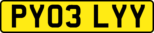 PY03LYY