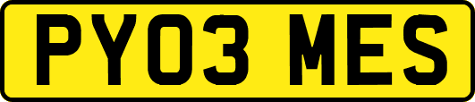 PY03MES