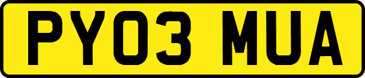 PY03MUA