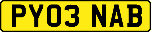 PY03NAB