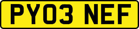 PY03NEF