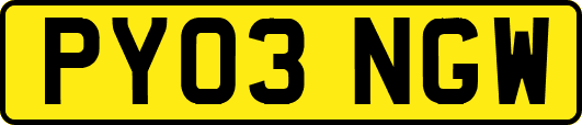 PY03NGW