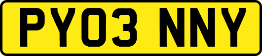 PY03NNY