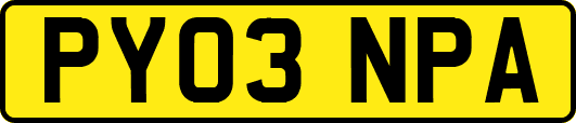 PY03NPA