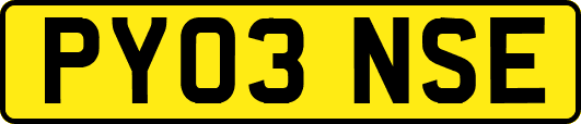 PY03NSE