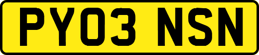 PY03NSN
