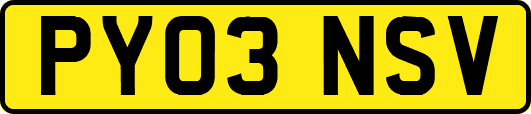 PY03NSV