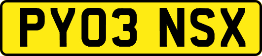 PY03NSX