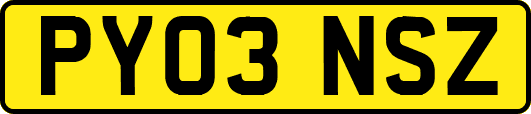 PY03NSZ