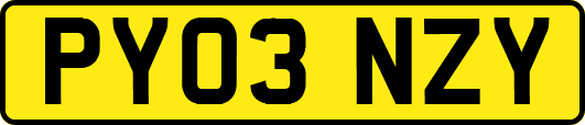 PY03NZY