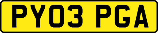 PY03PGA