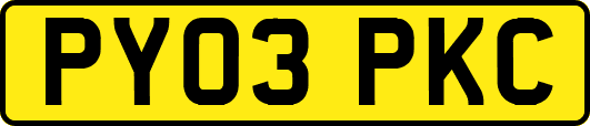 PY03PKC