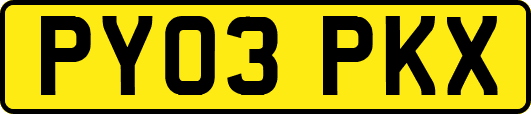 PY03PKX