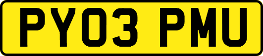 PY03PMU