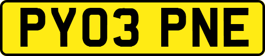 PY03PNE